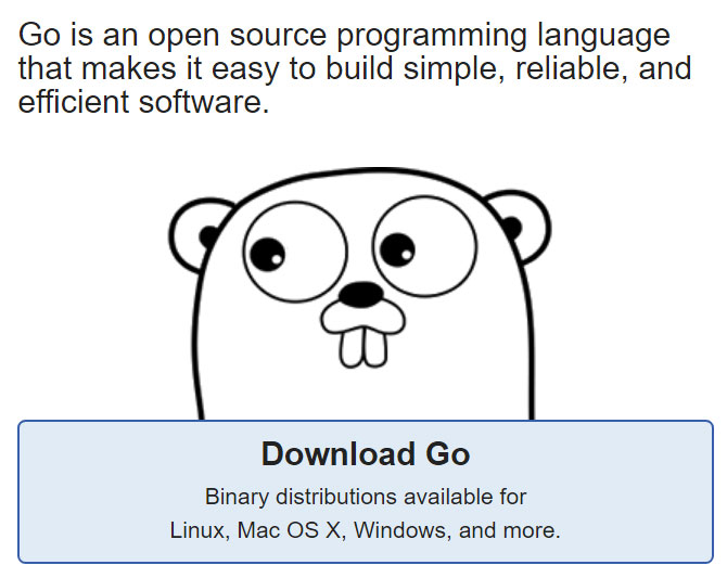 Go Programming Download 