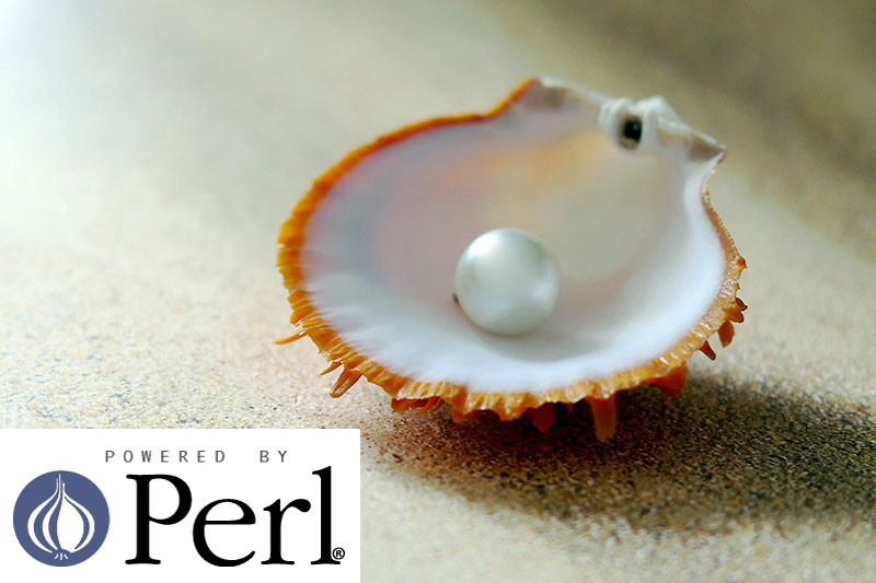 Powered By Perl Pearl 