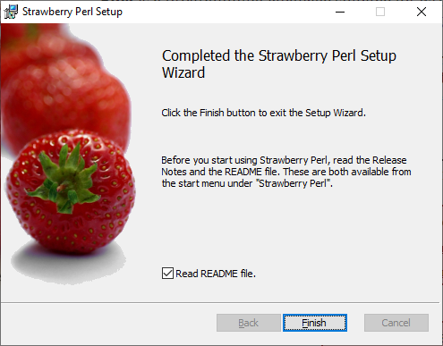 Strawberry Perl 00199 05 